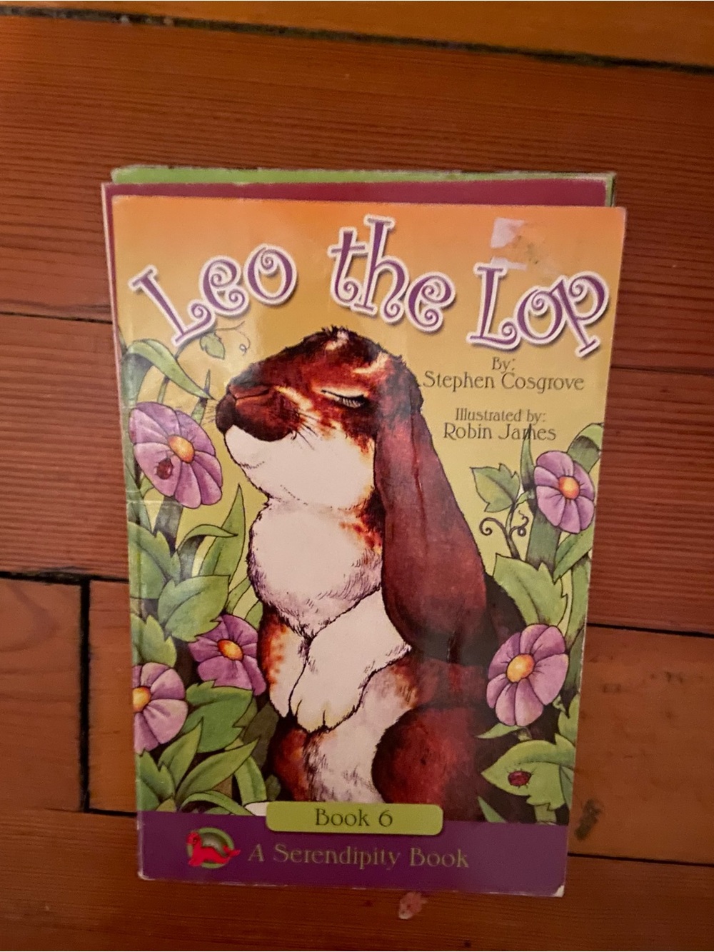 2 SERENDIPITY books book LEO the LOP # 6 Rabbit & CREOLE # 3 Stephen Cosgrove